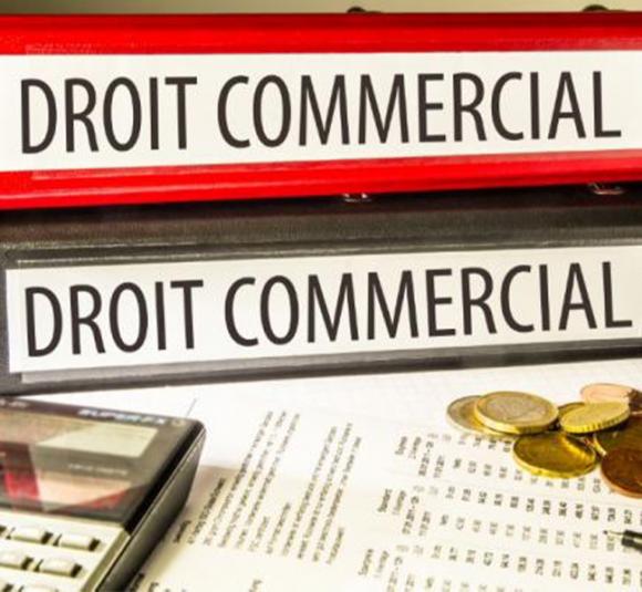 Procédures collectives en droit commercial